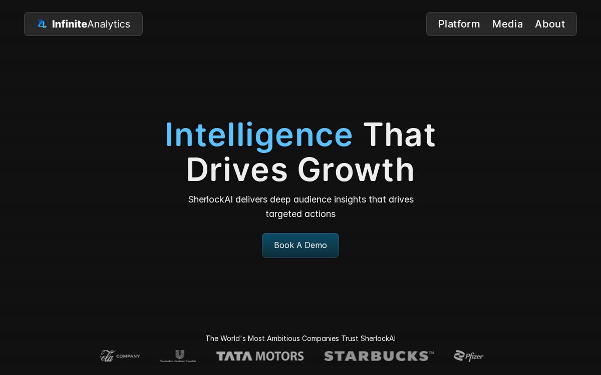 Infinite Analytics website preview