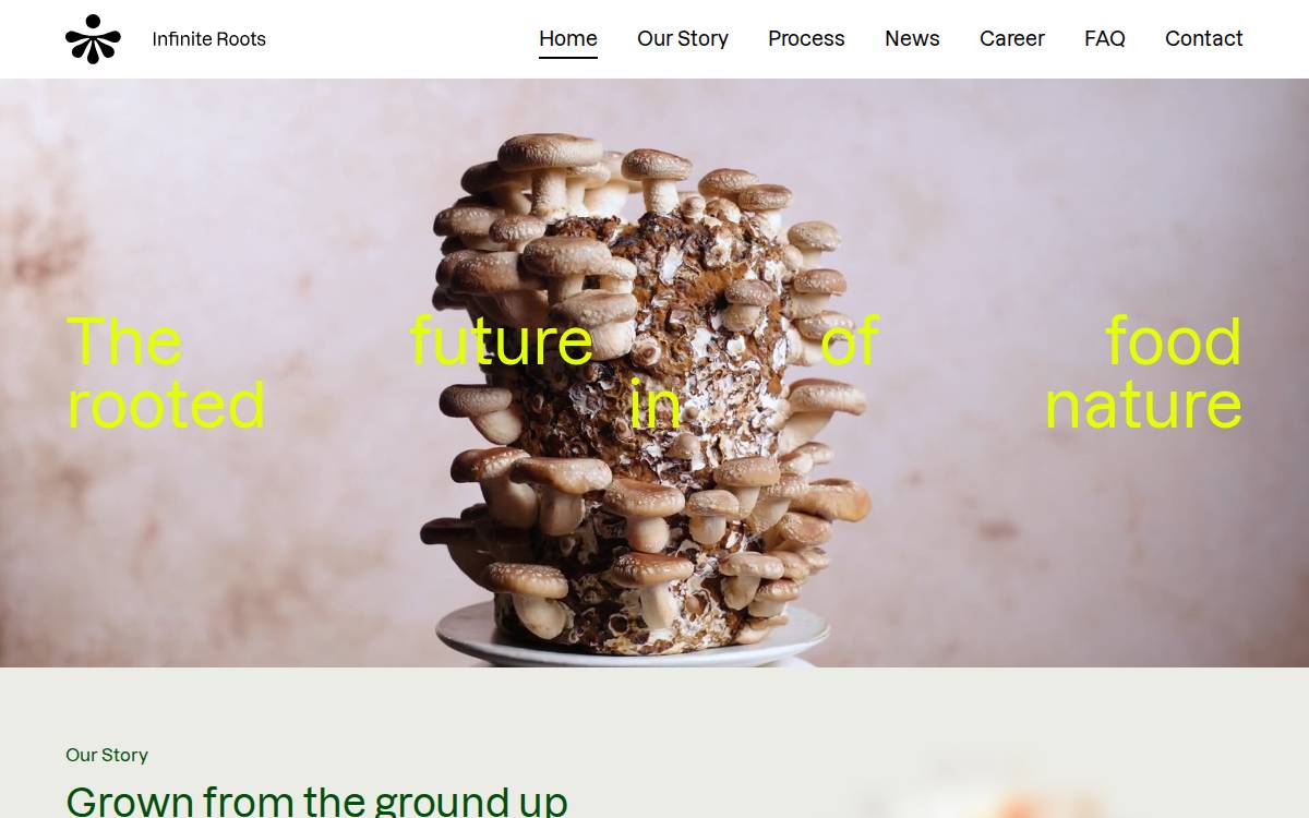 Infinite Roots website preview