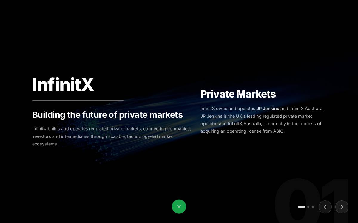 InfinitX website preview