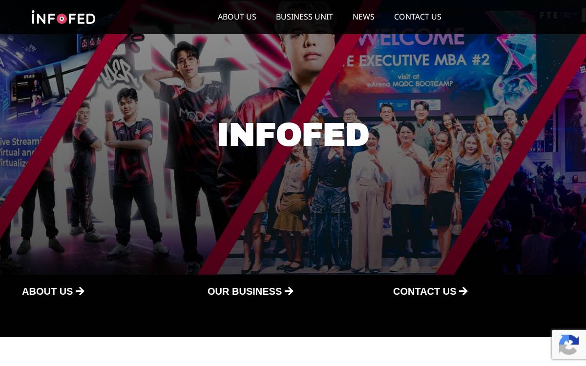 Infofed website preview
