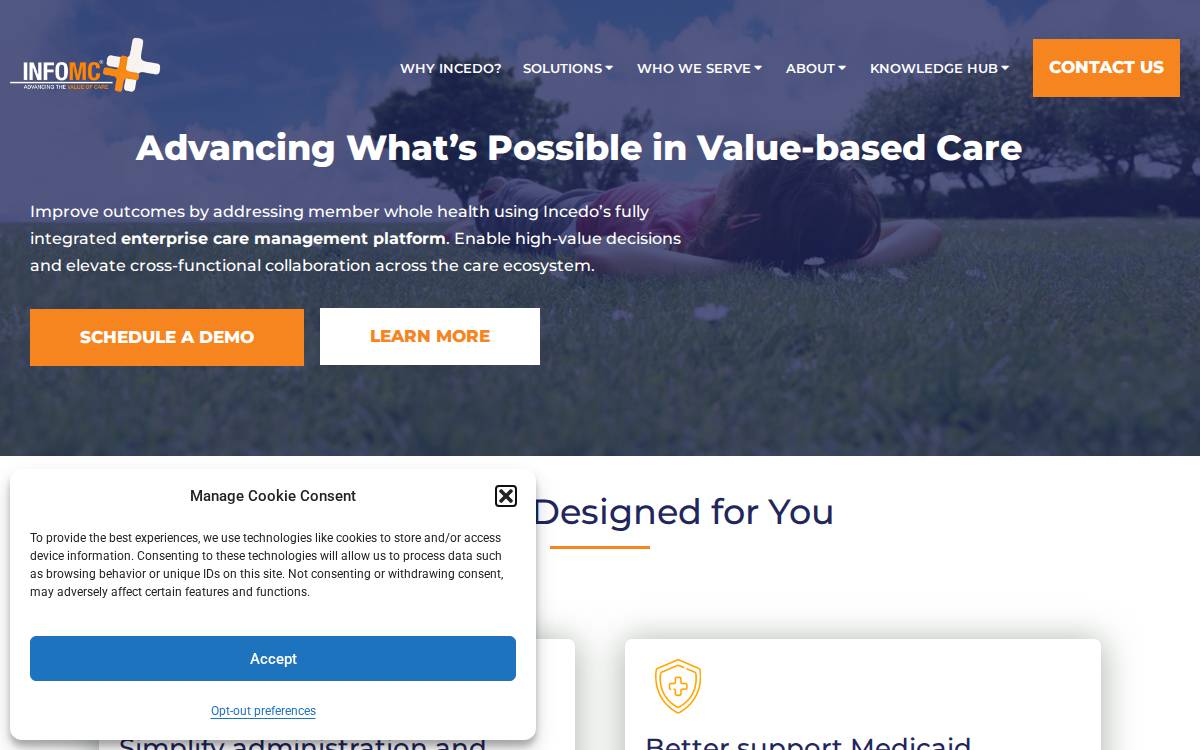 InfoMC website preview