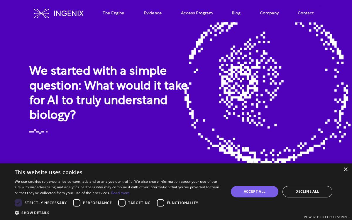 Ingenix website preview