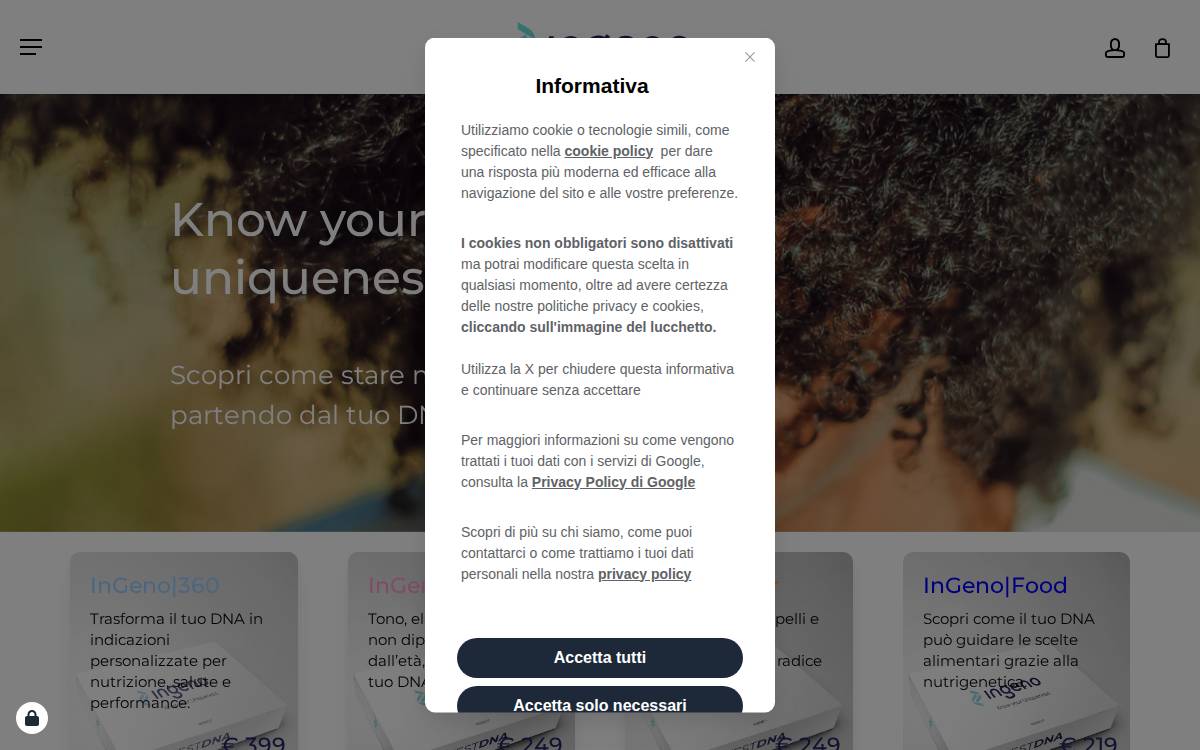 Ingeno website preview