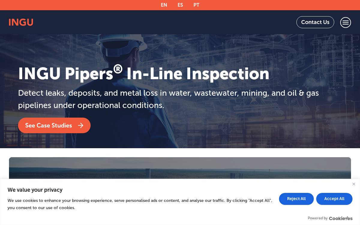 Ingu Solutions website preview