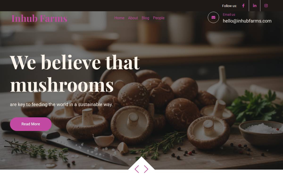 INHUB website preview