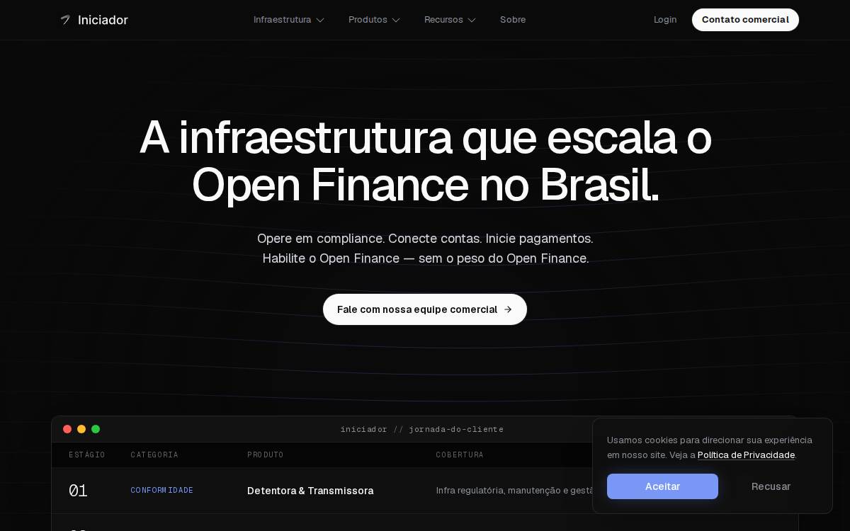 Iniciador website preview