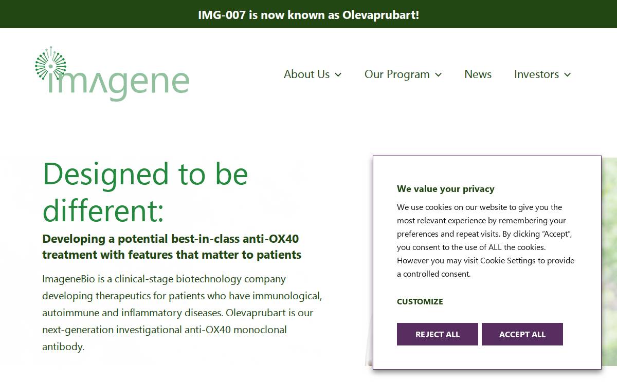 Inmagenebio website preview
