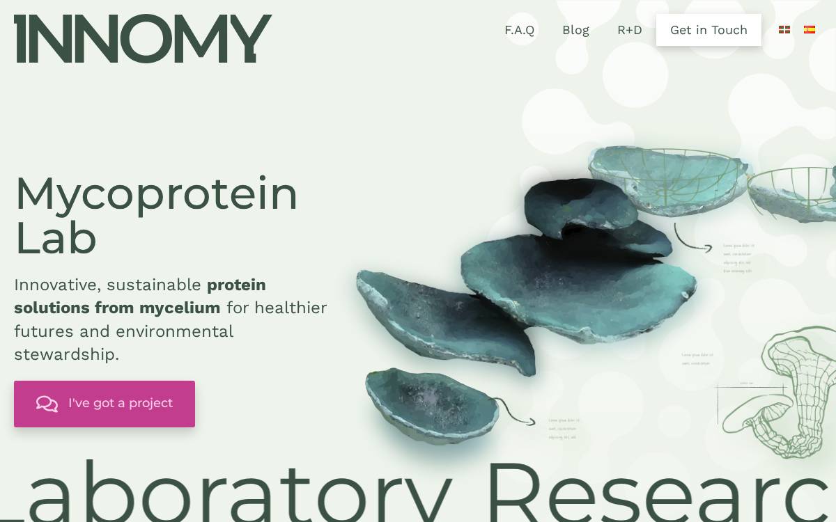 Innomy website preview