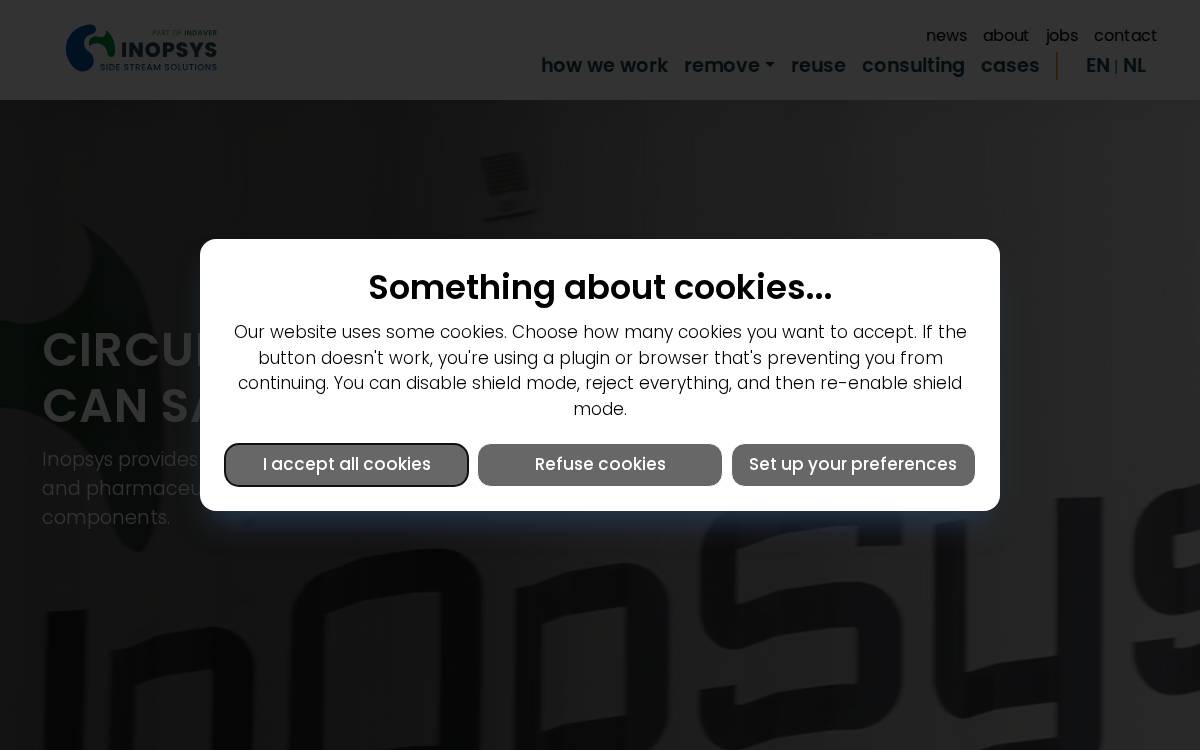 Inopsys website preview