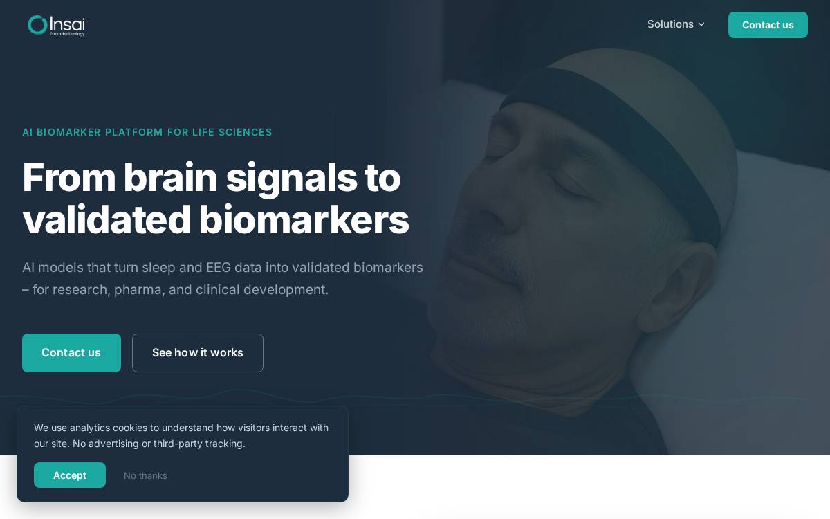 Insai website preview