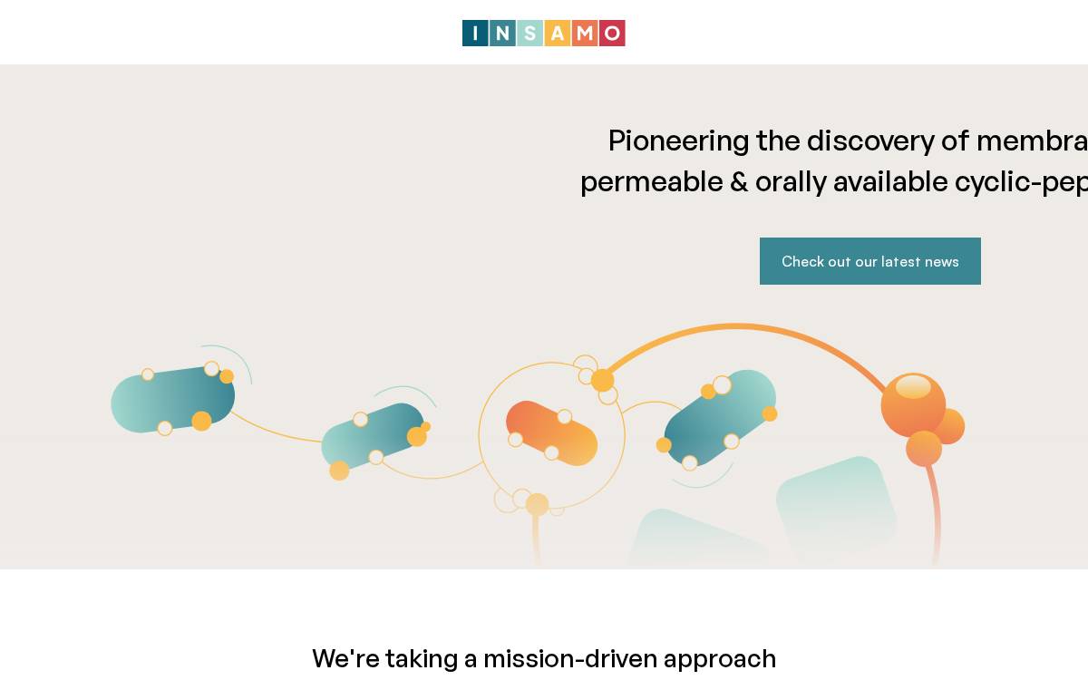 Insamo website preview