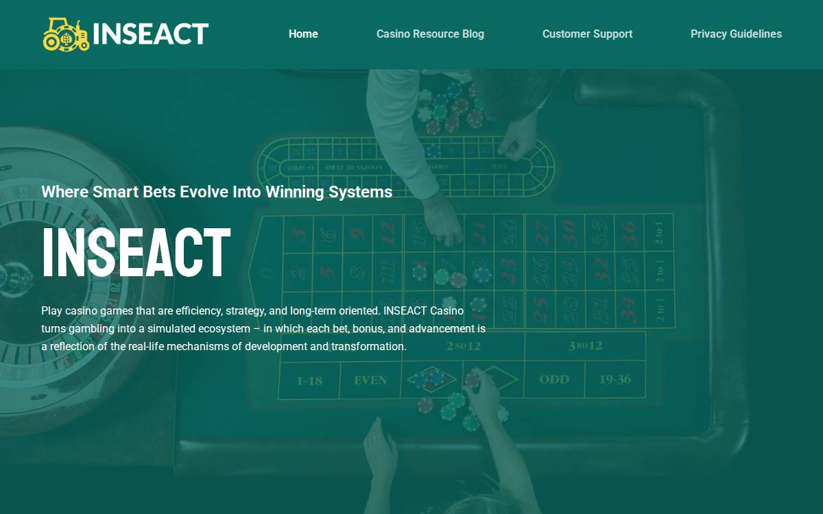 Inseact website preview