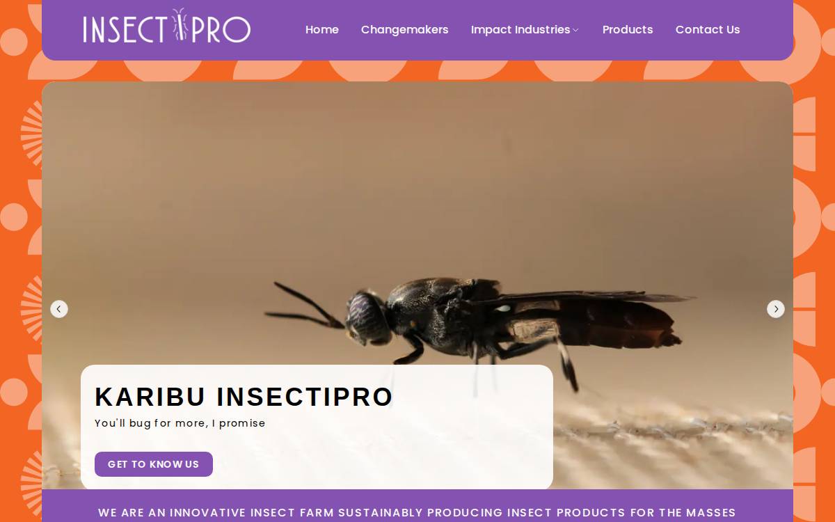 Insectipro website preview