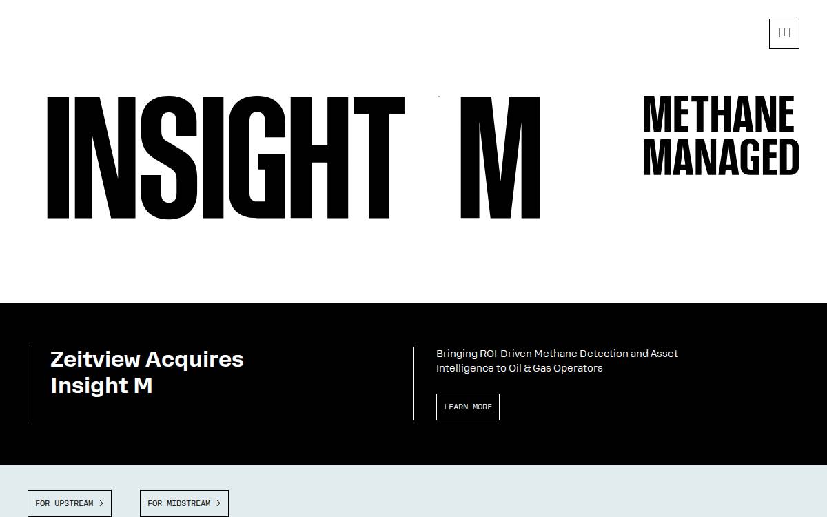 Insight M website preview