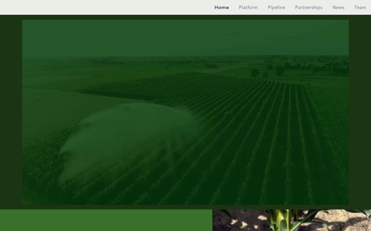 Insignum AgTech website preview