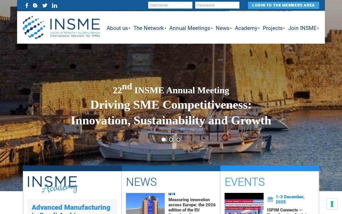 Insme website preview