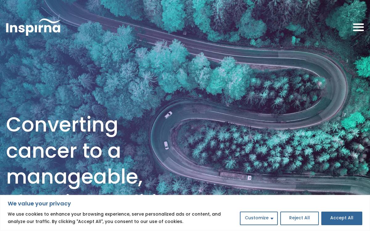 Inspirna website preview