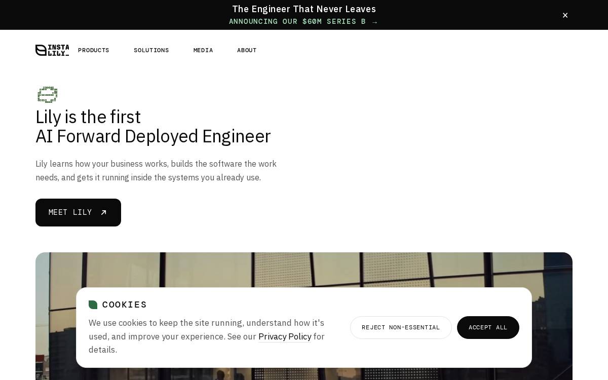 Instalily website preview