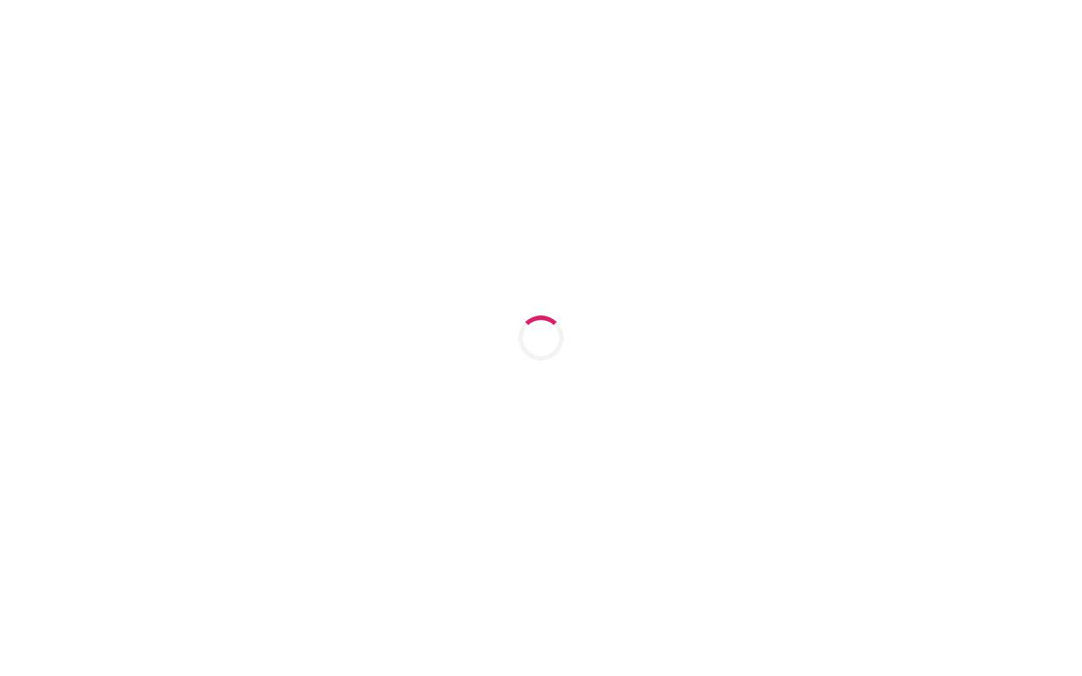 Instant website preview
