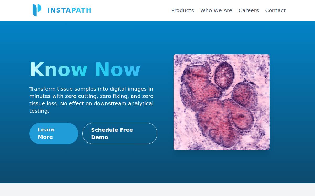 Instapath Inc. website preview