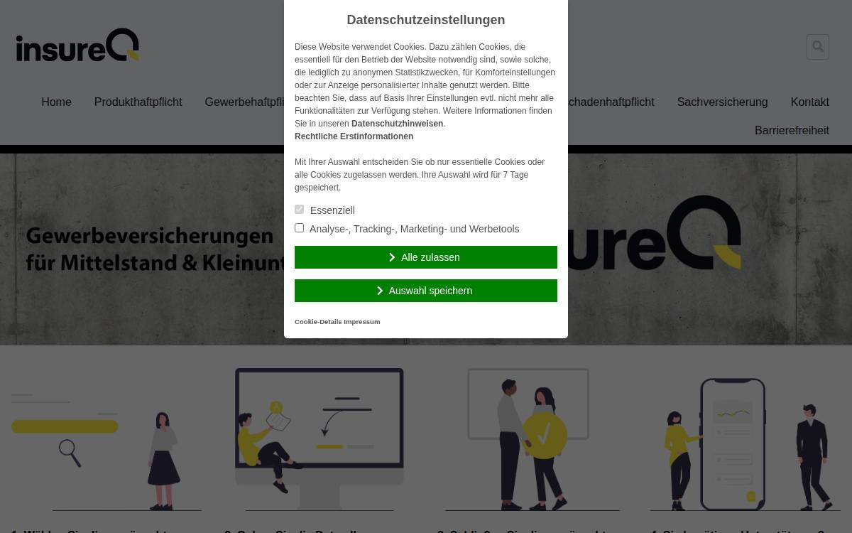 Insureq website preview