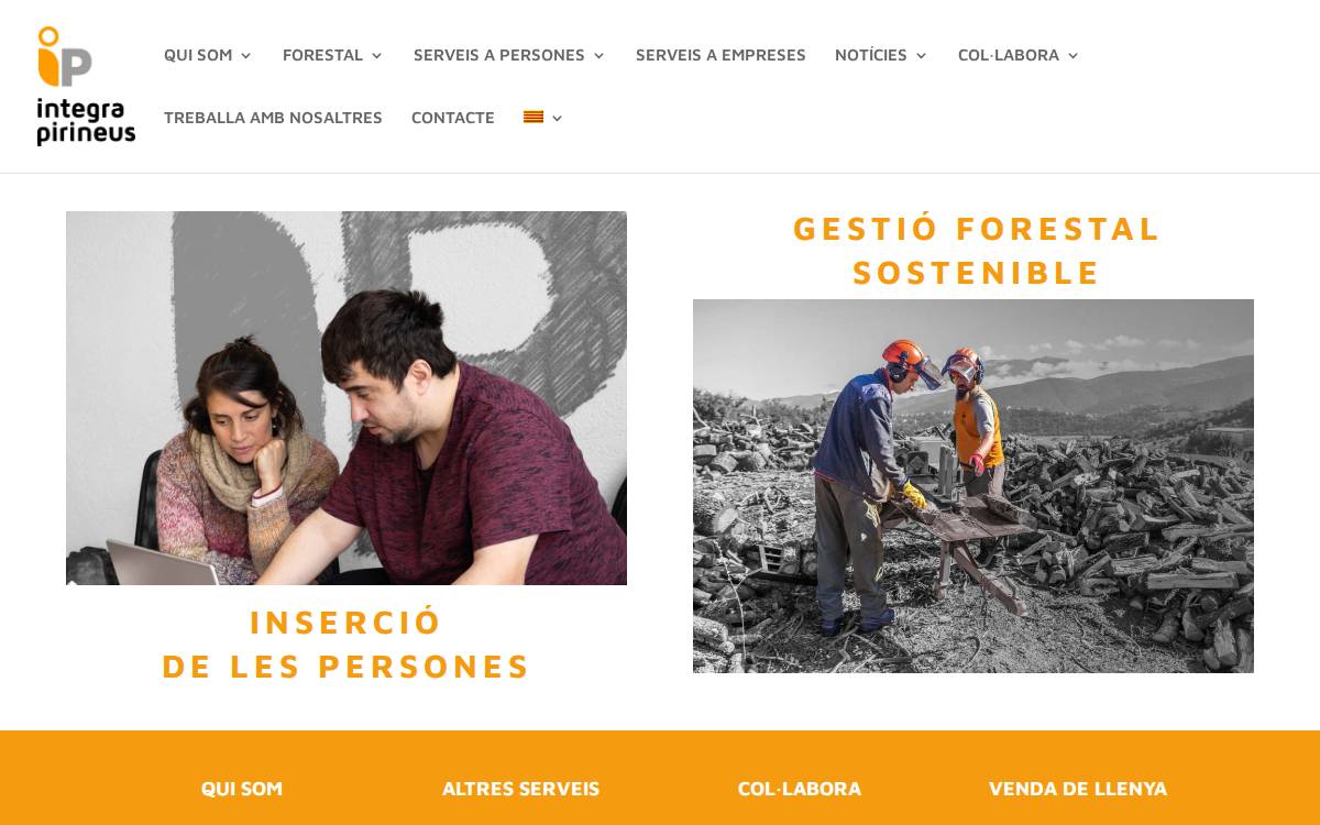 Integra Pirineus website preview