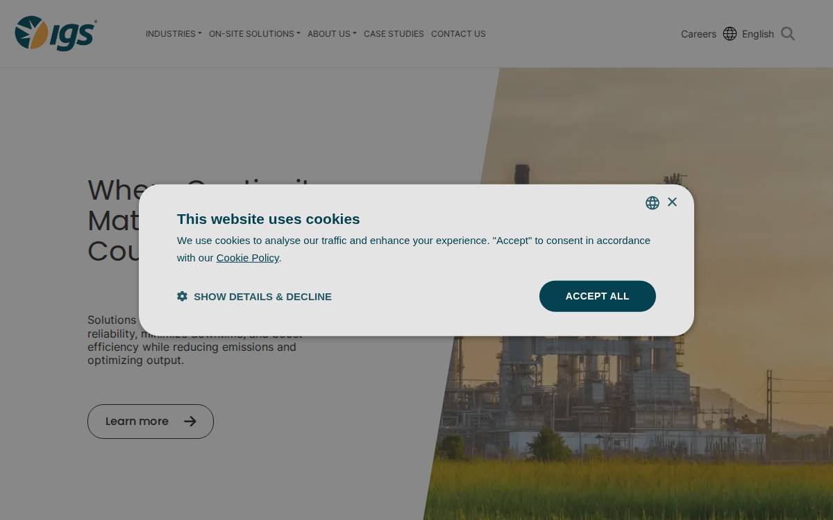 Integrated Global Services website preview