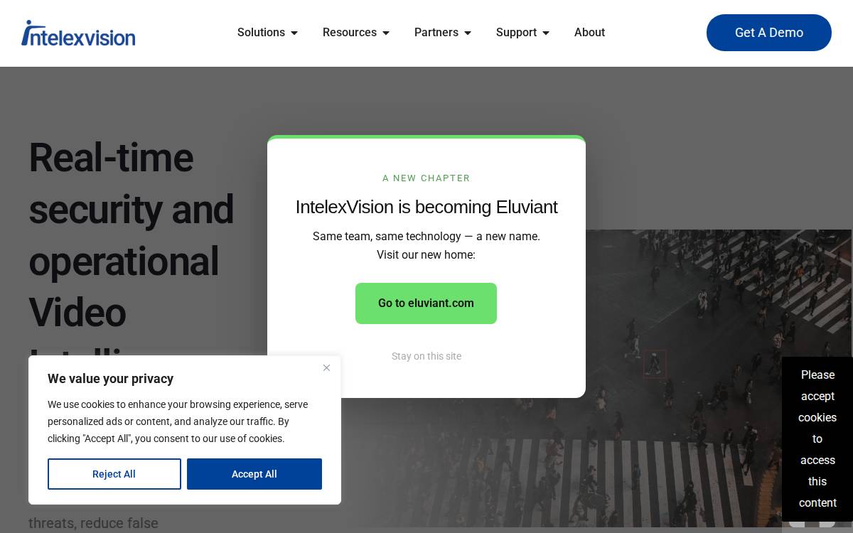 IntelexVision website preview