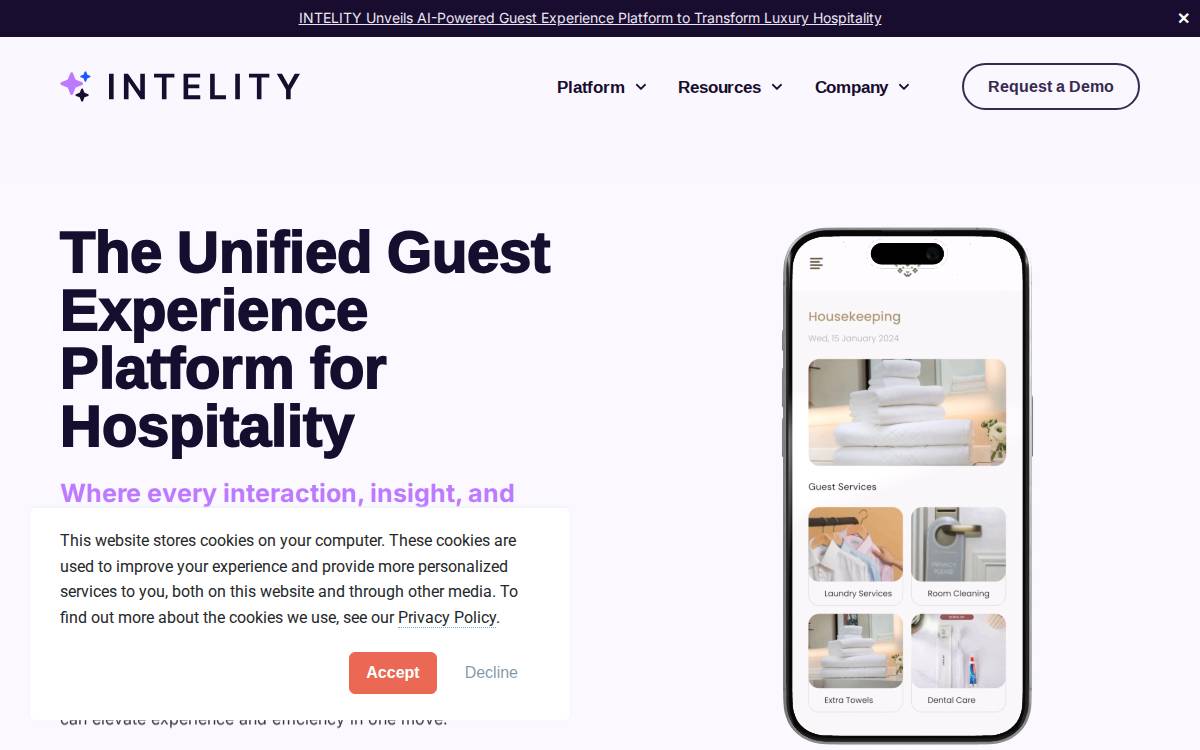 Intelity website preview