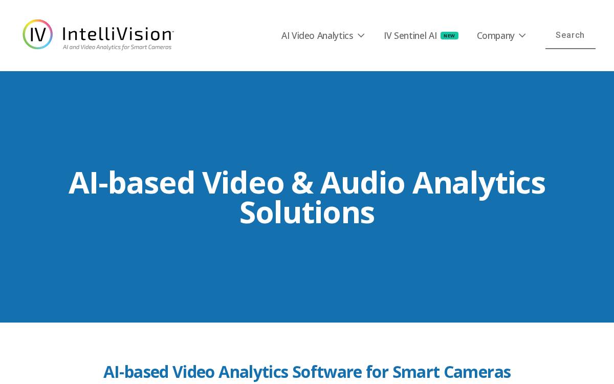 Intelli Vision website preview