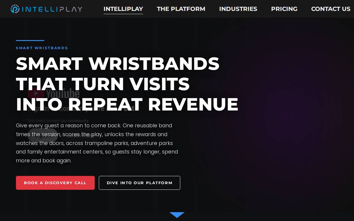 Intelliplay website preview