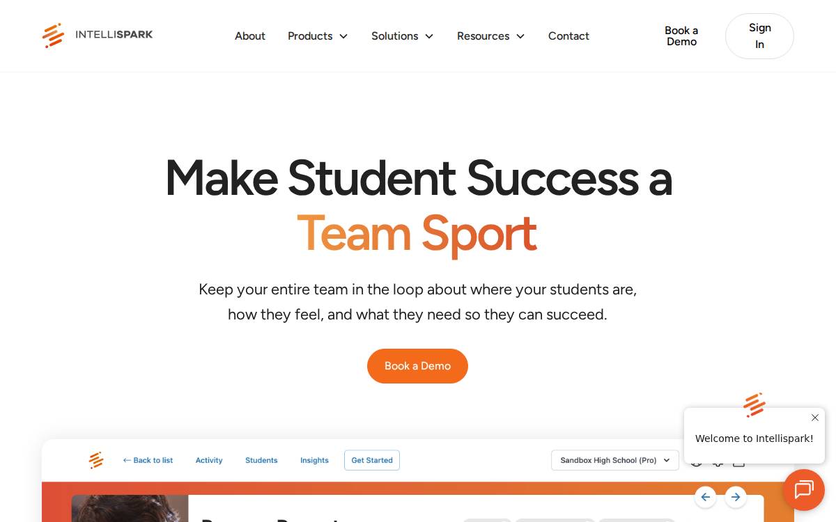 Intellispark website preview