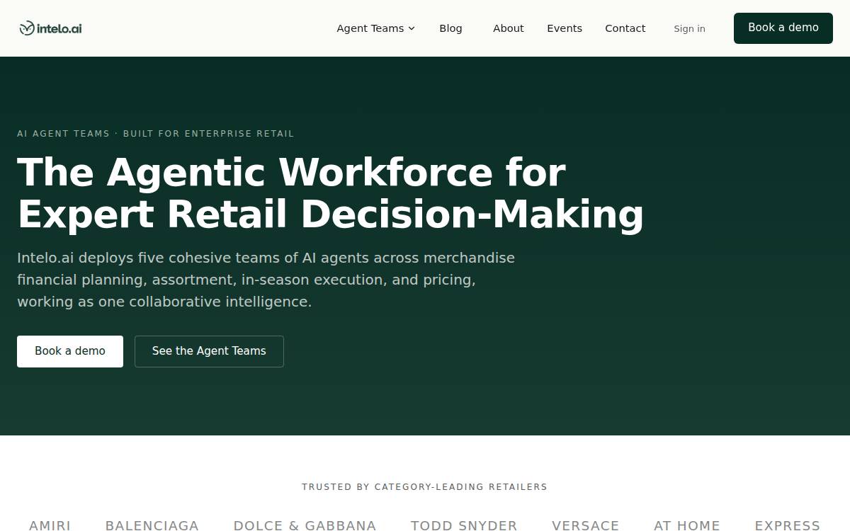 Intelo website preview