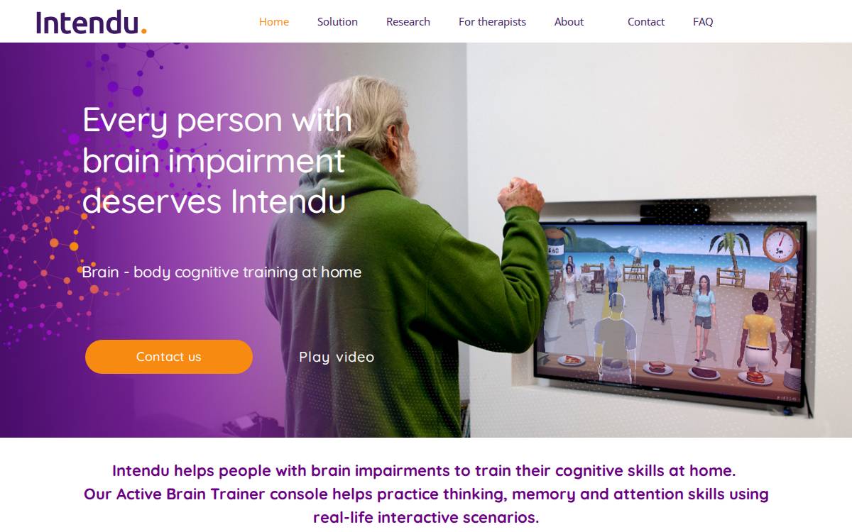 Intendu website preview