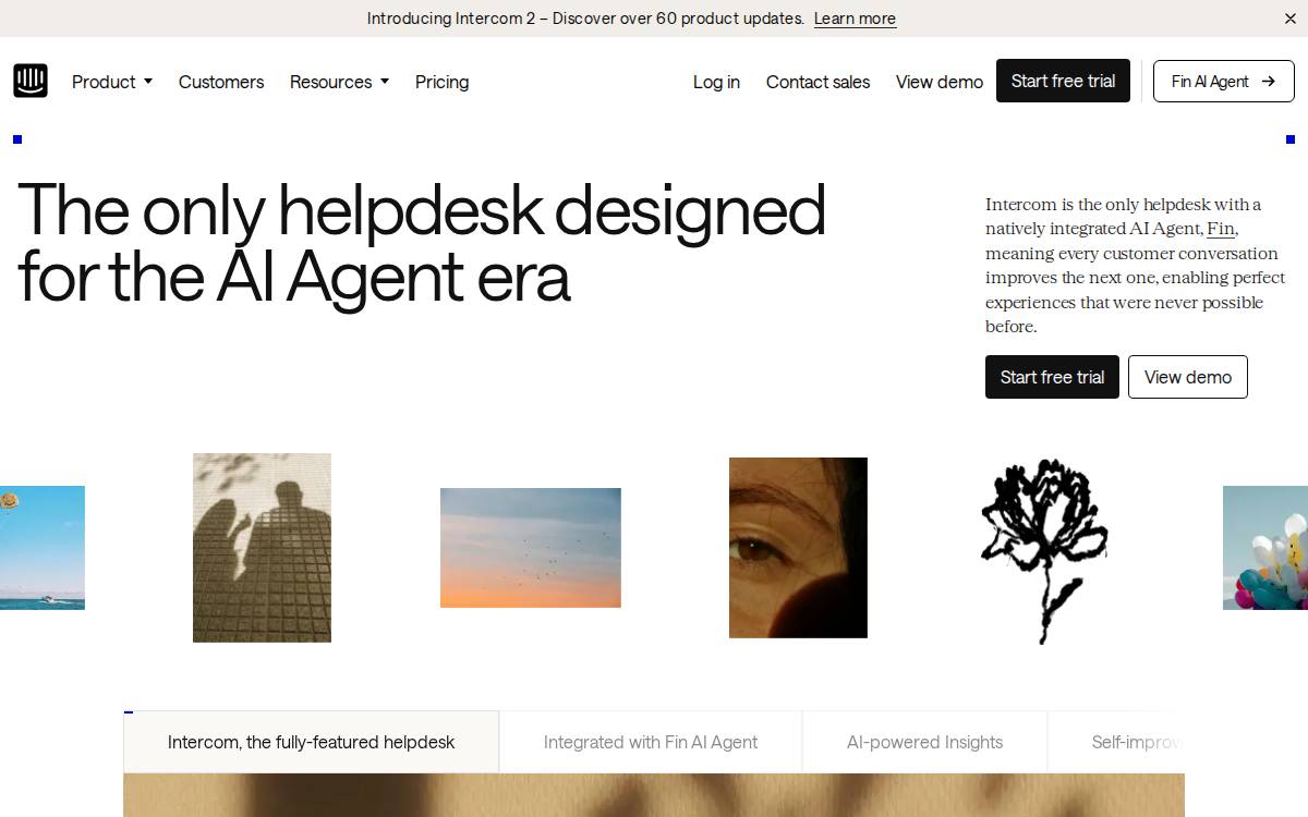 Fin website preview