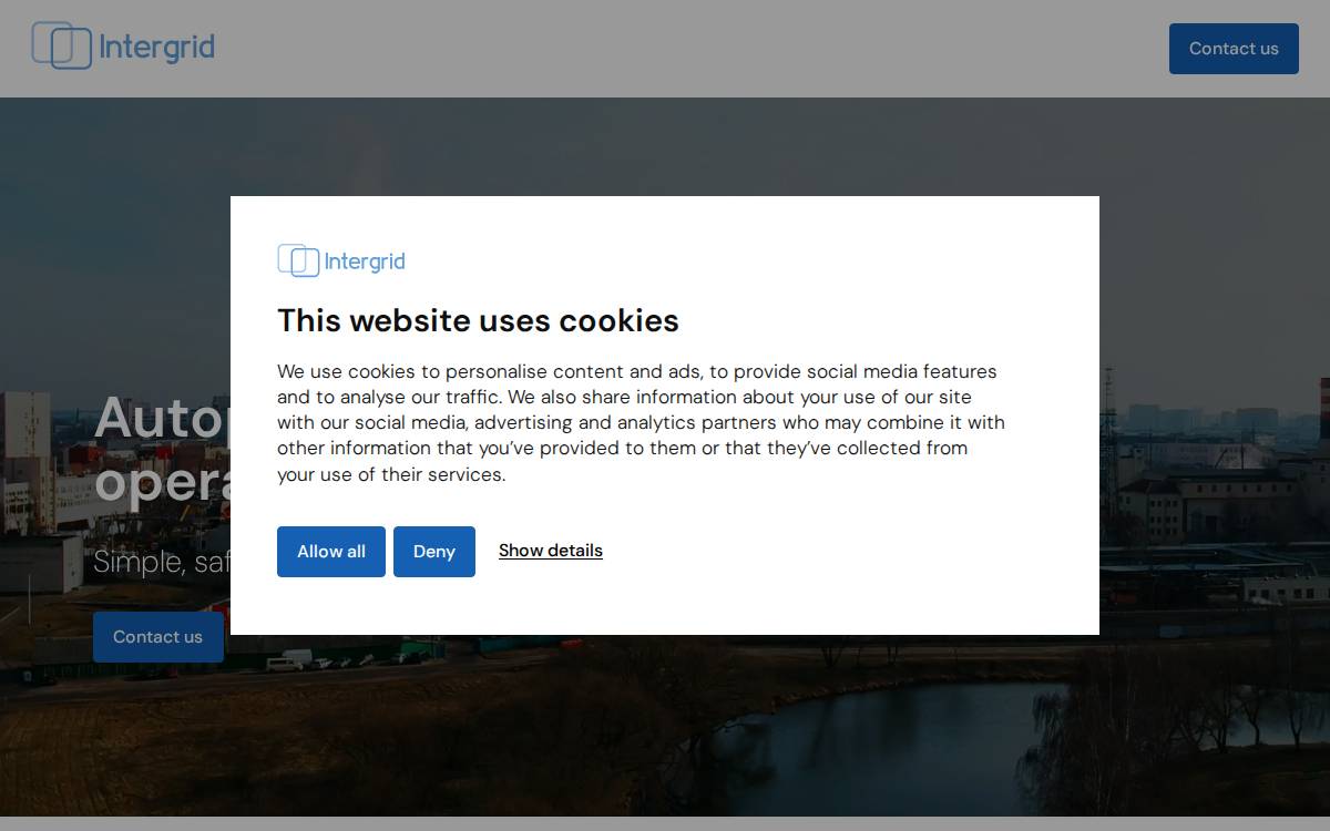 Intergrid website preview