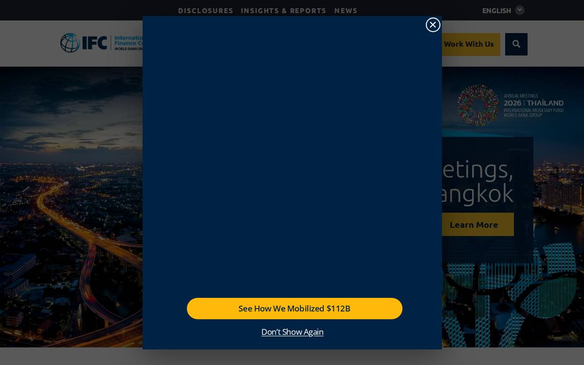 International Finance Corporation website preview