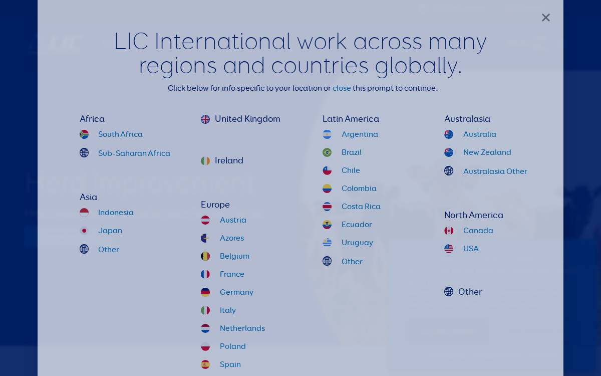 International website preview