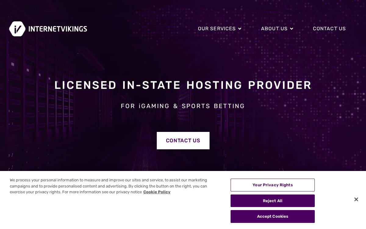 Internet Vikings website preview