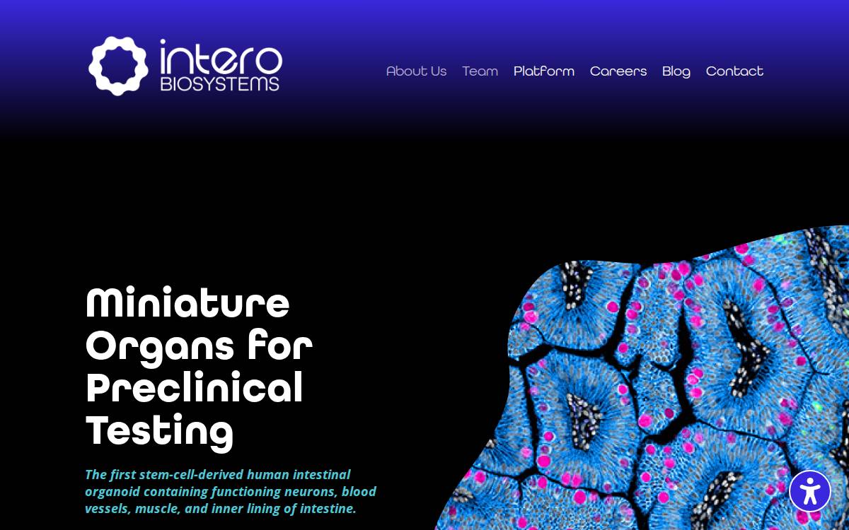 Intero Biosystems website preview