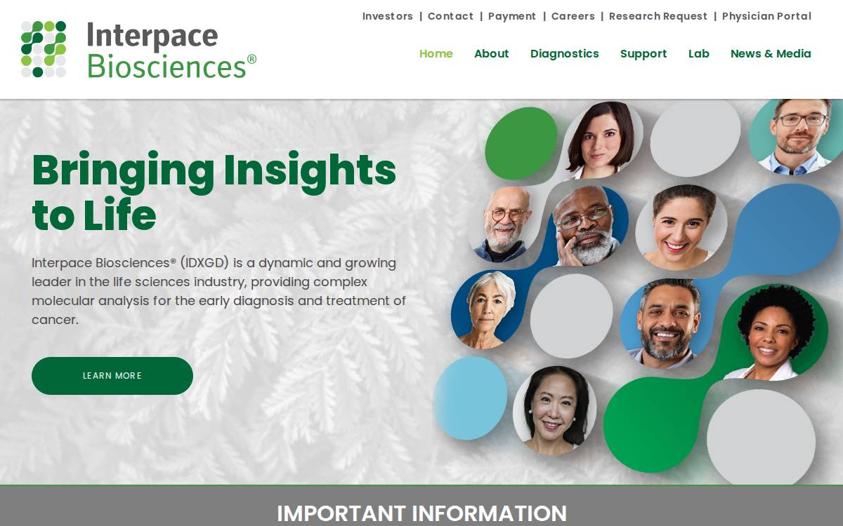 Interpace website preview