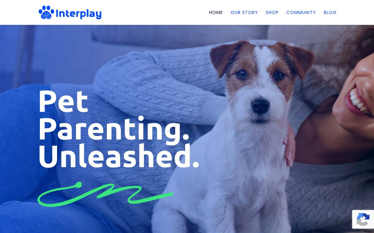 Interplay website preview