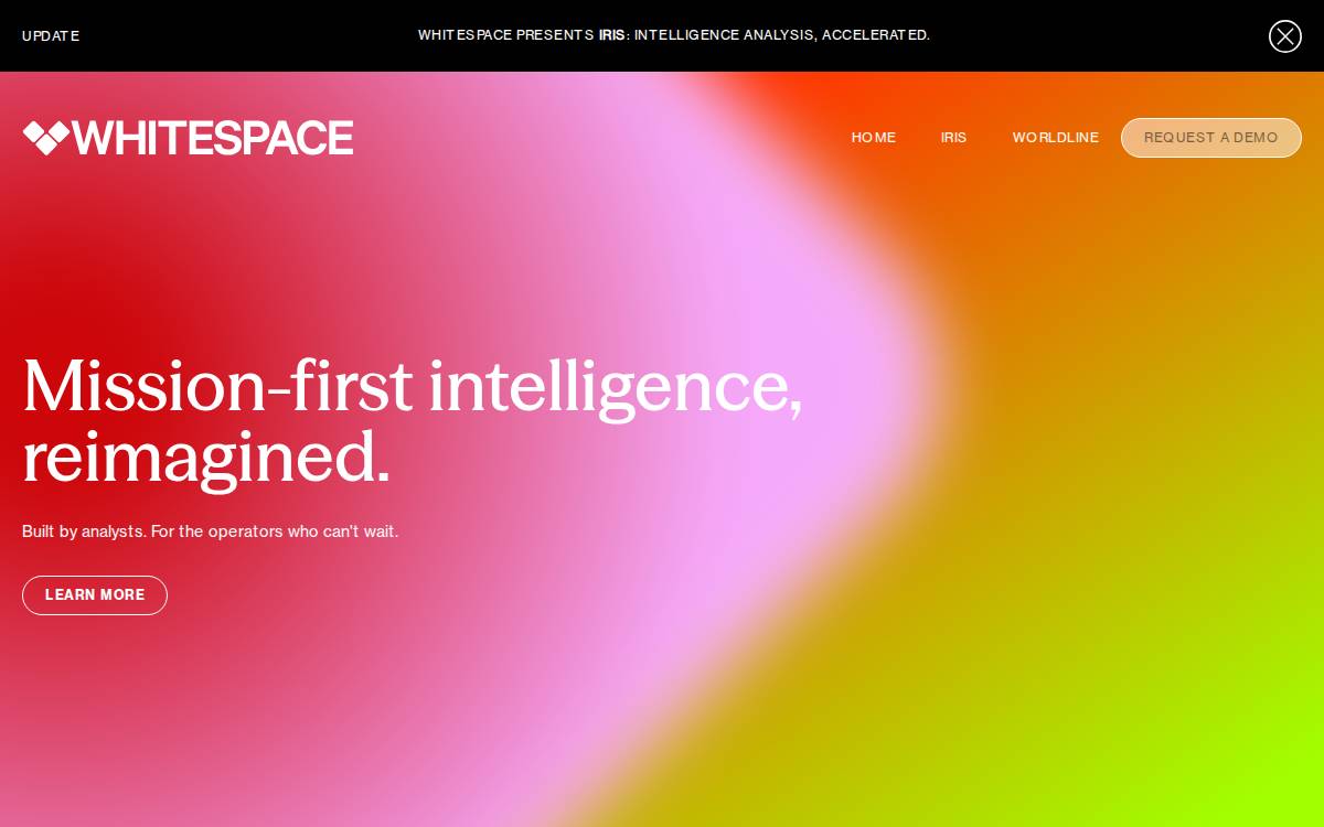 Inthewhitespace website preview