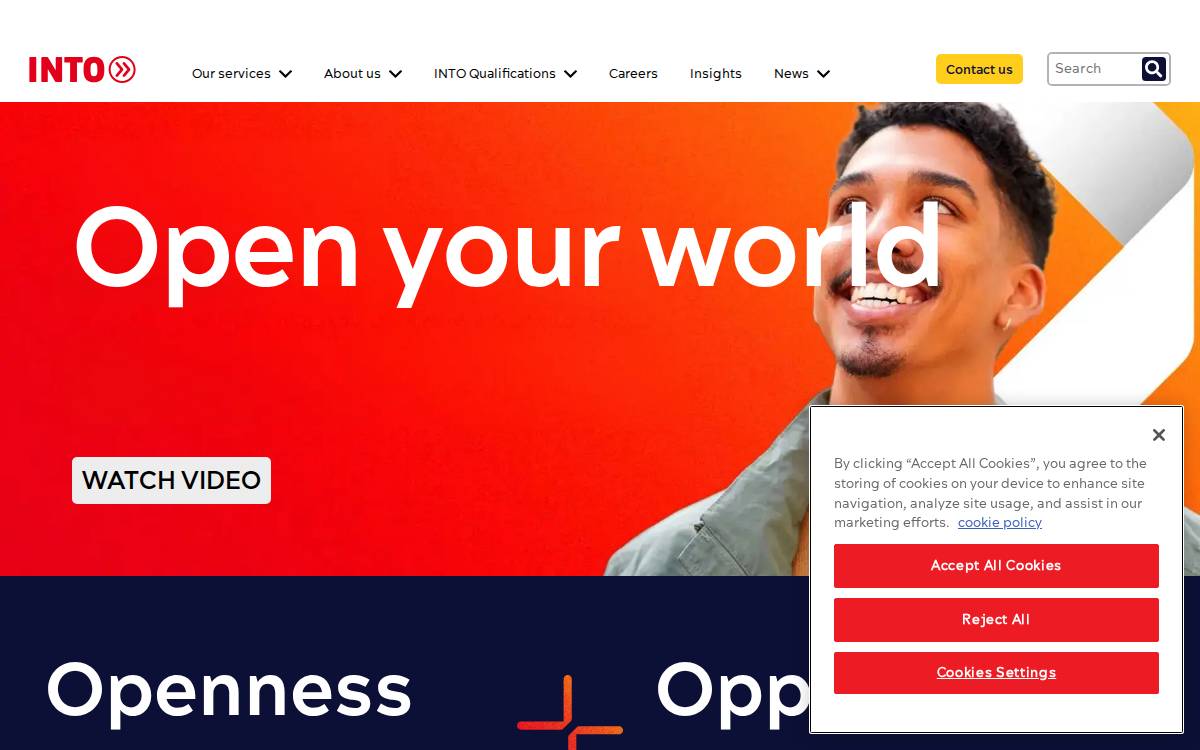 INTO website preview