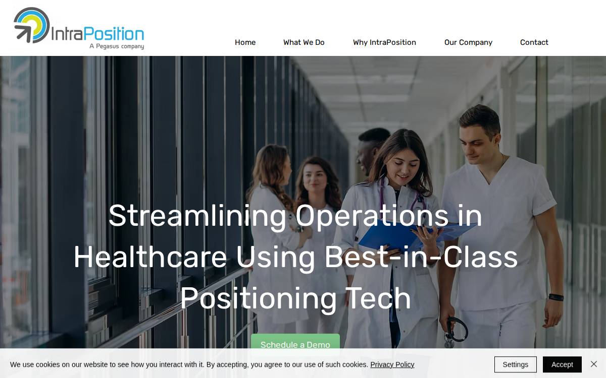 Intraposition website preview
