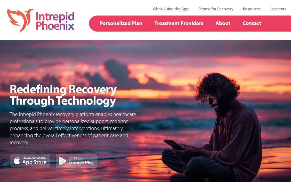 Intrepid Phoenix Ventures website preview