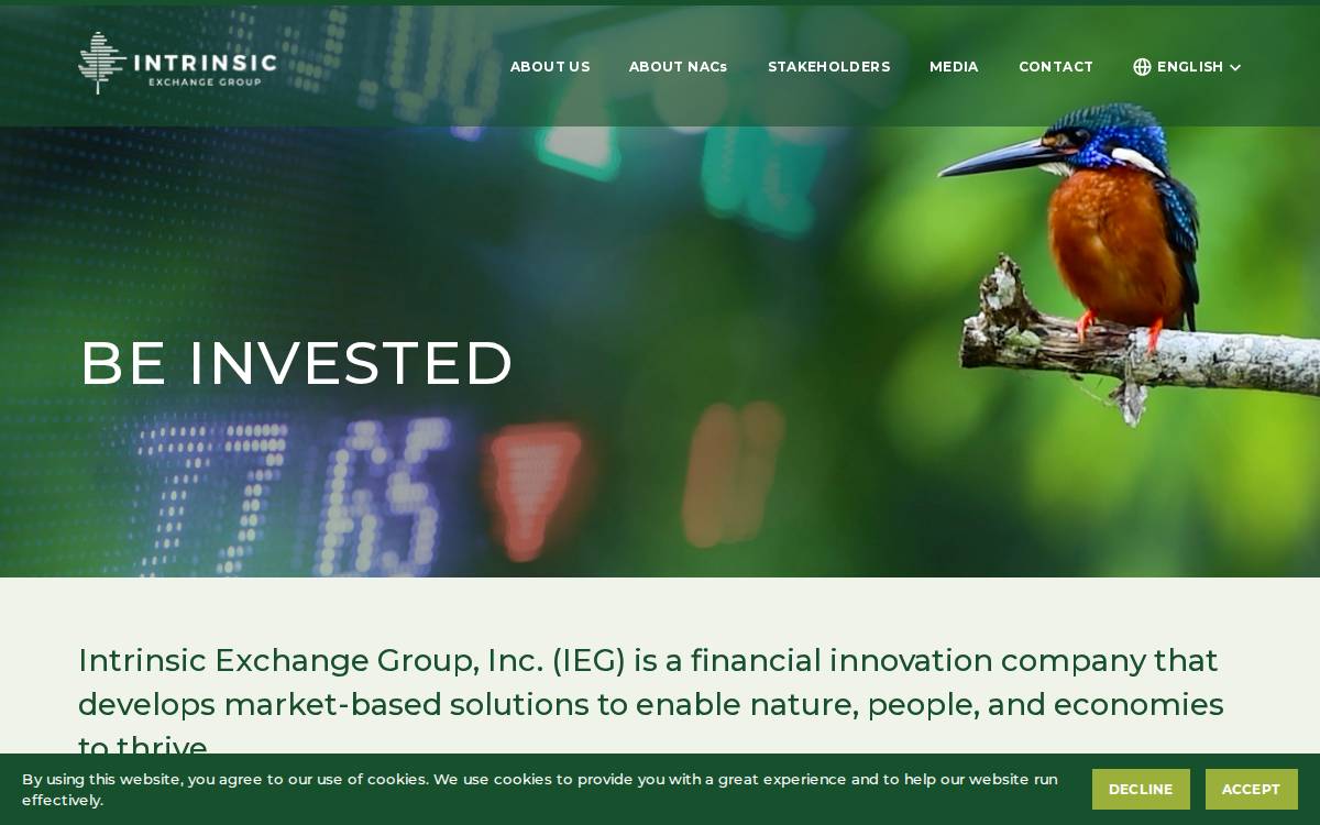 Intrinsic Exchange Group website preview