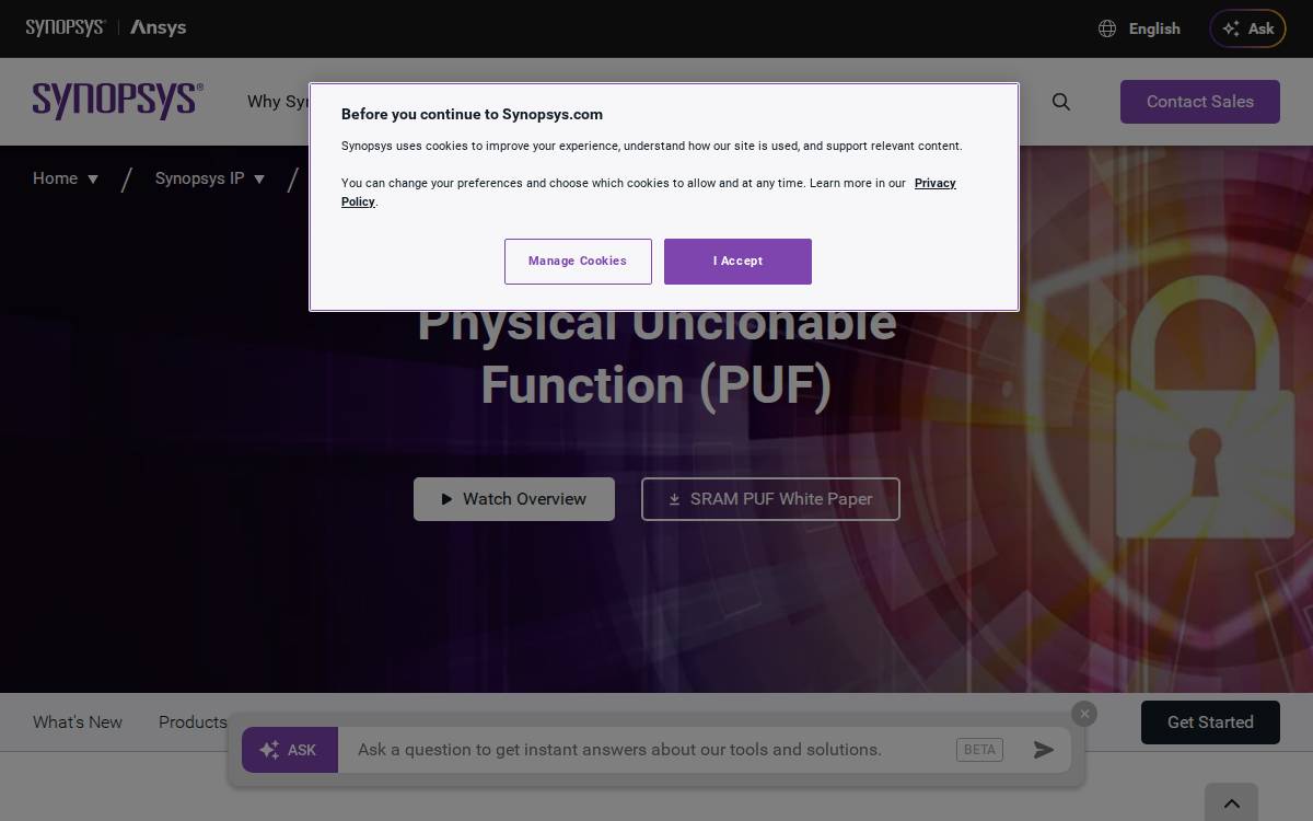Intrinsic ID website preview