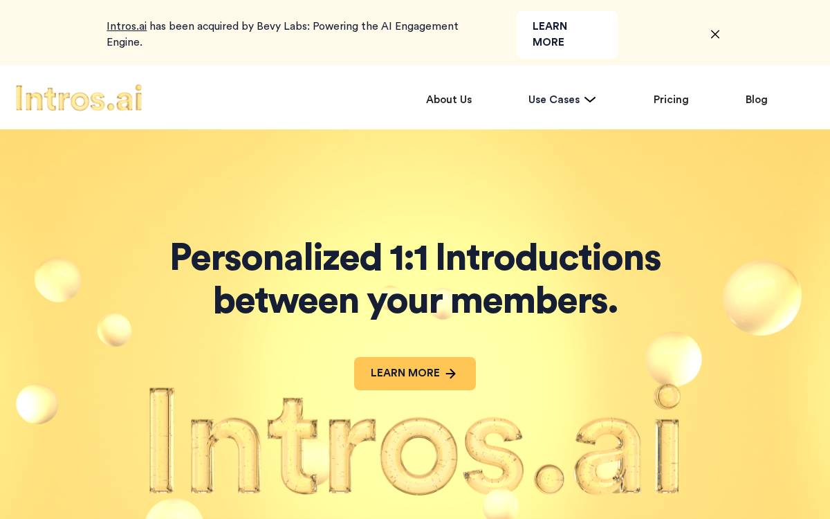 Introsai website preview