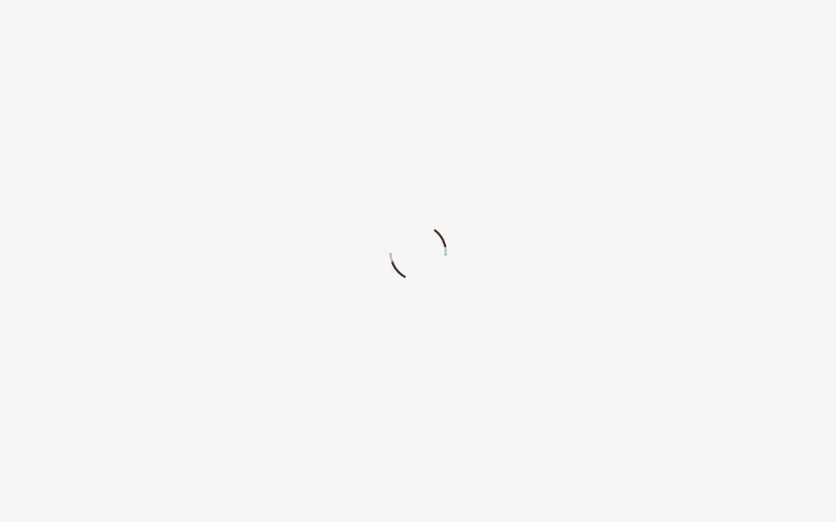 Inuneko Seikatsu.Co website preview